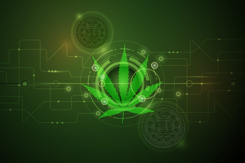 maryjane-oreos-data-technology-economy-money MaryJane Data Oreas Technology